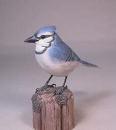 5-1/4 Inch Blue Jay Hand Carved & Painted Wooden Bird