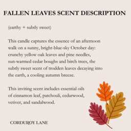 Fallen Leaves Apothecary Candle - Cozy Autumn Scent - thumbnail 2