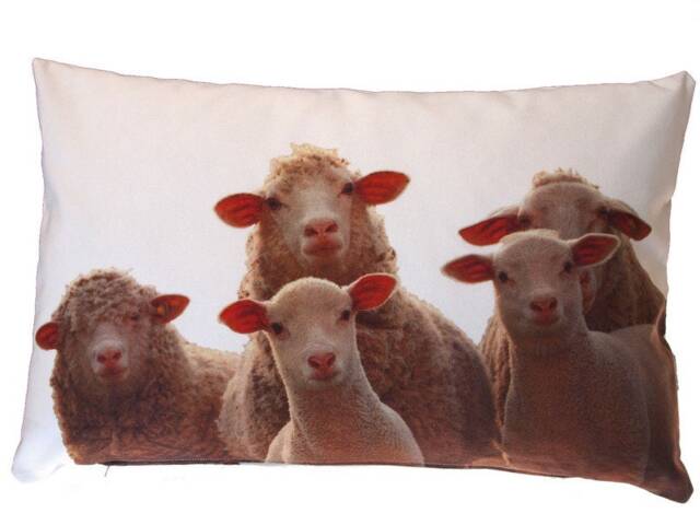 Sheep Cushion, Cushion Cover 40 X 60 cm Made Of Cotton, Cream-White, Animal Cover, Sofa Decorative - image 1