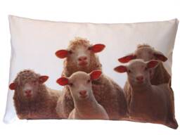 Sheep Cushion, Cushion Cover 40 X 60 cm Made Of Cotton, Cream-White, Animal Cover, Sofa Decorative - thumbnail 1