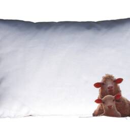 Sheep Cushion, Cushion Cover 40 X 60 cm Made Of Cotton, Cream-White, Animal Cover, Sofa Decorative - thumbnail 2
