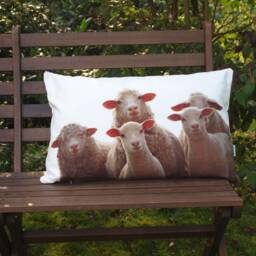 Sheep Cushion, Cushion Cover 40 X 60 cm Made Of Cotton, Cream-White, Animal Cover, Sofa Decorative - thumbnail 3