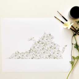 Virginia State Flower Map Watercolor American Dogwood - Art Print Wall Floral Wedding Uva Vt Grad Realtor Moving Mother Day Gift - thumbnail 2