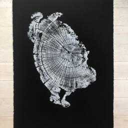 Driftwood Tree Ring Art Print Oregon Coast Woodcut - 18x24 - thumbnail 3