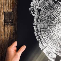 Driftwood Tree Ring Art Print Oregon Coast Woodcut - 18x24 - thumbnail 2
