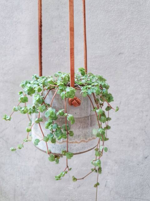 White & Gray Hanging Planter With Leather Straps, Minimalist Pottery Planter, Indoor Gardening Pot, Ceramic Succulent - image 1