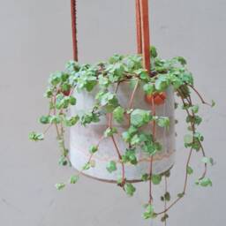 White & Gray Hanging Planter With Leather Straps, Minimalist Pottery Planter, Indoor Gardening Pot, Ceramic Succulent - thumbnail 2