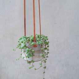 White & Gray Hanging Planter With Leather Straps, Minimalist Pottery Planter, Indoor Gardening Pot, Ceramic Succulent - thumbnail 3