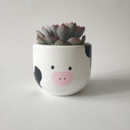 Cow Concrete Planter, Succulent Pots, Gift For Her Or Him, Minimalist Home Decor, Flower Design Flowerpots