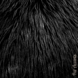 Plush Black Faux Fur Throw Blanket, Minky Cuddle Lining - thumbnail 2