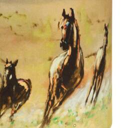 Freedom Field Lampshade - thumbnail 2