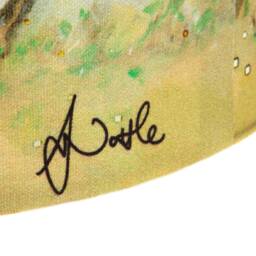 Freedom Field Lampshade - thumbnail 4