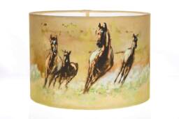 Freedom Field Lampshade - thumbnail 1