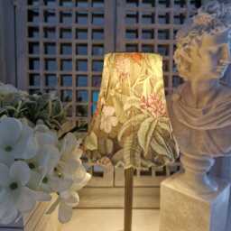 Cordless Touch Lamp Beautiful Unusual Exotic Reptile & Fish Usb Rechargeable Table Lamp. Four Base Colours - thumbnail 2