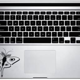 Moon Moth Decal // Car Wall Decor Laptop Bug Sticker Nature Cute - thumbnail 2