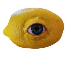 Realistic Life Sized Freaky Fruit All Seeing Lemon By Dead Head Props , Halloween Prop, Horror Halloween Decoration - thumbnail 2
