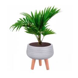 White Striped Concrete Bowl Planter With Wood Legs, Modern Shallow Stone Tripod Pot, Mid Century Indoor Plant Stand For Succulents Gifting - thumbnail 4