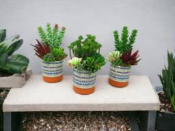 Faux Succulents Set Of 3 Potted Artificial Plants, Home Decor - thumbnail 1