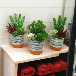 Faux Succulents Set Of 3 Potted Artificial Plants, Home Decor - thumbnail 2