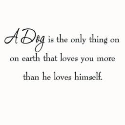 Vwaq A Dog Is The Only Thing On Earth Wall Decals Quotes Pets Animal Mm-417 - thumbnail 2