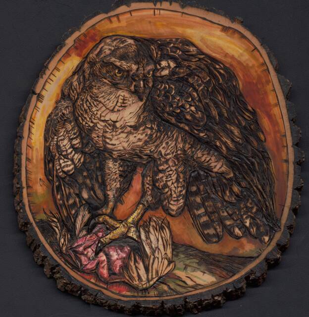 Bird Wall Art, Wood Slice Goshawk Falcon, Falconry Falcon Woodburning Carved Lake House Decor - image 1