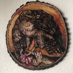 Bird Wall Art, Wood Slice Goshawk Falcon, Falconry Falcon Woodburning Carved Lake House Decor - thumbnail 3