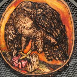 Bird Wall Art, Wood Slice Goshawk Falcon, Falconry Falcon Woodburning Carved Lake House Decor - thumbnail 2