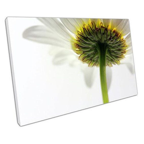 Vibrant Daisy Floral Canvas Print Ready-To-Hang Wall Art For Home & Office Decor - image 1