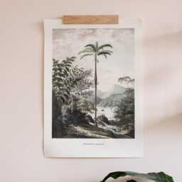 Large Format - A2 Wall Poster Hanger - No Drilling - Light Wood Adhesive Mount With Dowel. Designed & Made in Normandy By Gllu - thumbnail 3