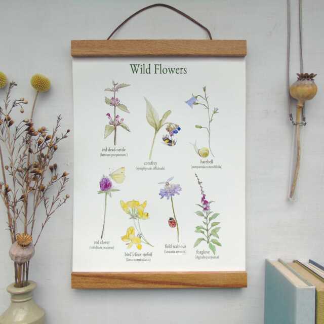 Wild Flower Canvas Wall Hanging -Botanical Art -Floral School Poster - Gallery Art- Vintage Floral Print - image 1