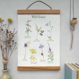 Wild Flower Canvas Wall Hanging -Botanical Art -Floral School Poster - Gallery Art- Vintage Floral Print