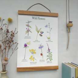 Wild Flower Canvas Wall Hanging -Botanical Art -Floral School Poster - Gallery Art- Vintage Floral Print - thumbnail 2