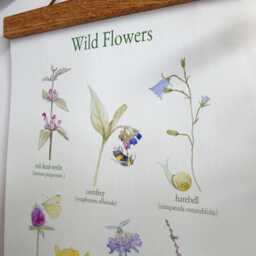 Wild Flower Canvas Wall Hanging -Botanical Art -Floral School Poster - Gallery Art- Vintage Floral Print - thumbnail 3