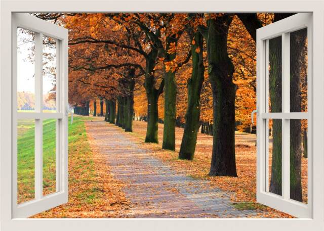 Trees Wall Decal Mural, Walkway Pathway Sticker, Autumn 3D Window View Bedroom Living Room Home Decor