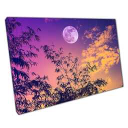 Tranquil Full Moon Bamboo Landscape Photo Print - Elegant Nature Wall Art For Home & Office - thumbnail 1