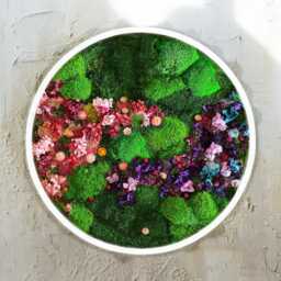 Round Moss Wall Art With Flowers, Wooden Frame, Handmade Preserved Botanical Decor - thumbnail 4