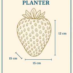 strawberry Concrete Planter, Chocolate Dipped Fruit Plant Pot - thumbnail 3