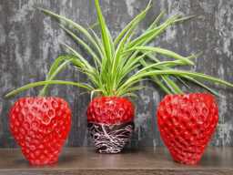 Strawberry Planter, Chocolate Dipped Cast Stone Plant Pot