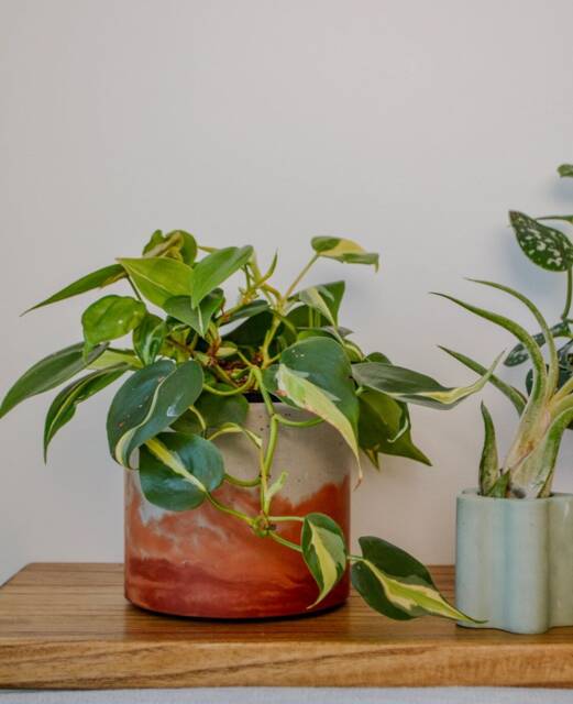 Handmade Sunset Watercolor Planter Orange Peach Gradient Pot - Featured in Only Murders The Building - image 1