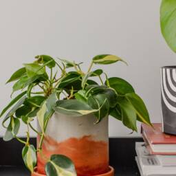 Handmade Sunset Watercolor Planter Orange Peach Gradient Pot - Featured in Only Murders The Building - thumbnail 2