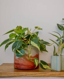 Handmade Sunset Watercolor Planter Orange Peach Gradient Pot - Featured in Only Murders The Building - thumbnail 1