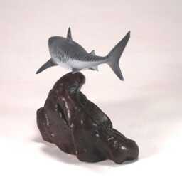 Tiger Shark Sculpture By John Perry 8In Long On Polished Burlwood Base. Signed - thumbnail 4