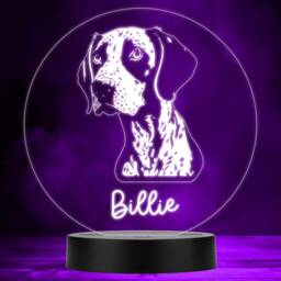 German Shorthaired Pointer Dog Pet Multicolour Personalised Gift Led Night Light - Bedroom Lamp