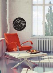 Stay Curious Quote - Wall Decal Custom Vinyl Art Stickers For Cars, Homes, Electronics & Offices