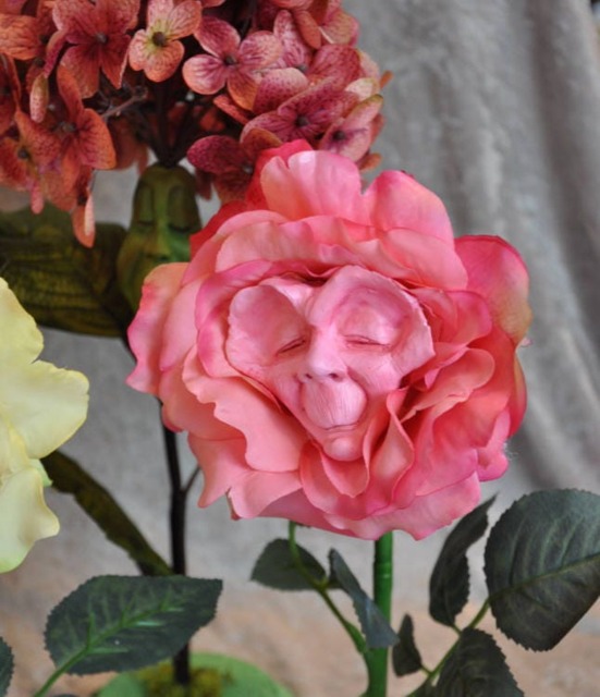 Alice in Wonderland - NonTalking Flowers Elder Rose Sutherland - image 1
