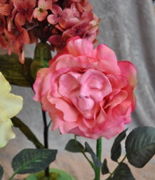 Alice in Wonderland - NonTalking Flowers Elder Rose Sutherland - thumbnail 1