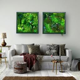 Preserved Moss Wall Art Set Of Two Evergreen Home Decor Frames - 50x50cm - thumbnail 2