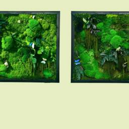 Preserved Moss Wall Art Set Of Two Evergreen Home Decor Frames - 50x50cm - thumbnail 3