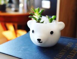 Polar Bear Planter, Fathers Day Gift, Papa Bear, Plant Dad, Cute, Animal Planter, Birthday Gift, Women Gift - thumbnail 1