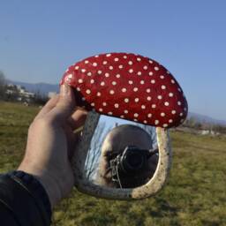 Wall Mirror Mushroom Shaped, Decor, Red Mirror, Small Paper-Mache Mushroom, Mushrooms